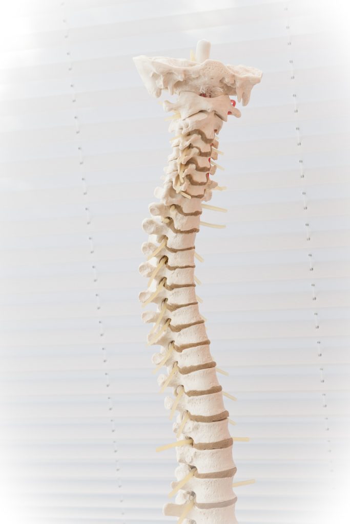 Spine Pain